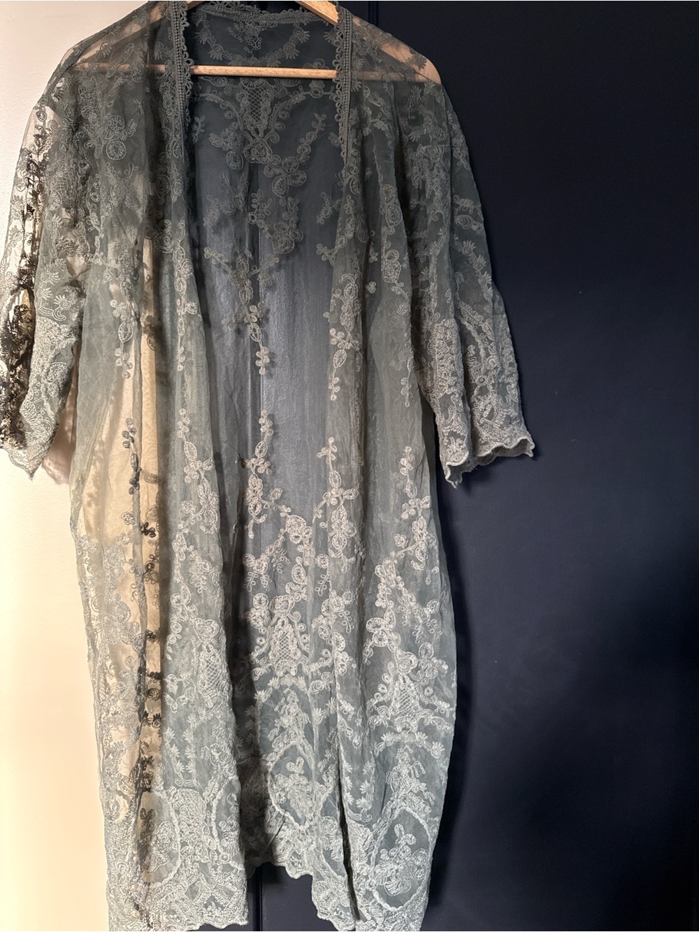Anthropologie Sheer Lace Kimono Robe in Sage